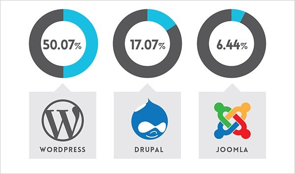 Popular website building platforms