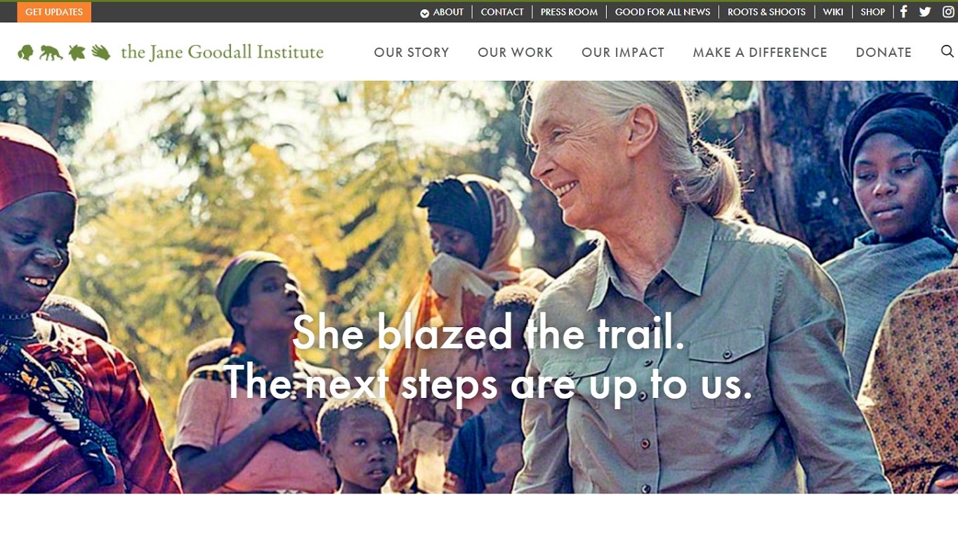 A website to create is for non-profit organizations. The example is of the Jane Goodall Institute.