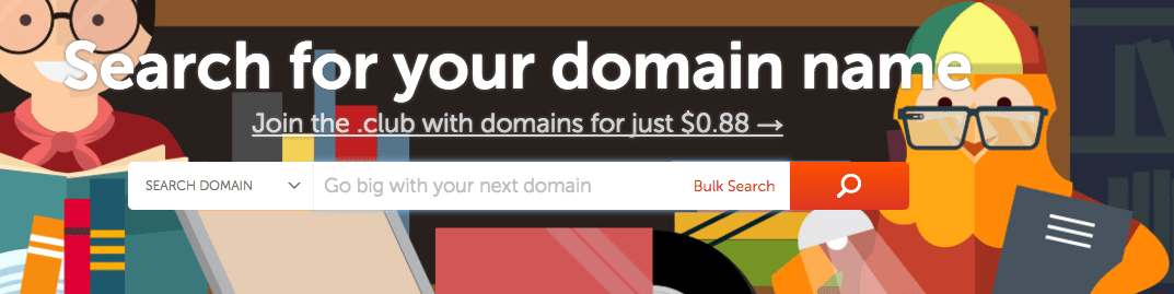 Choose domain name on NameCheap