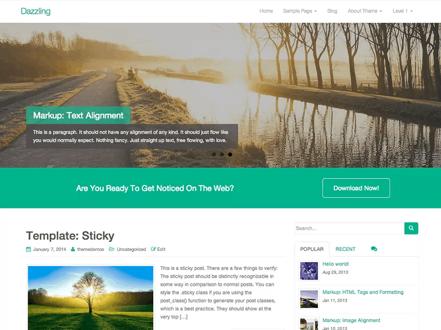 Free WordPress Theme #11