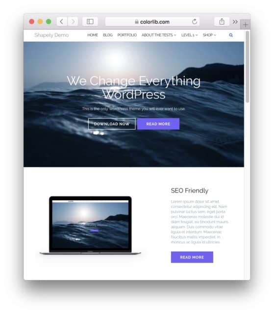 How to Make an Online Portfolio (Quick and Easy) | websitesetup.org
