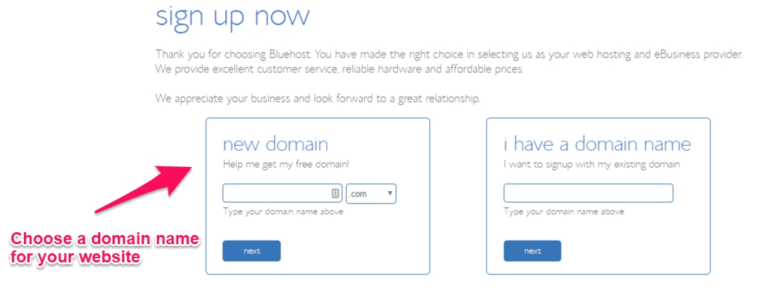 Bluehost choose domain name