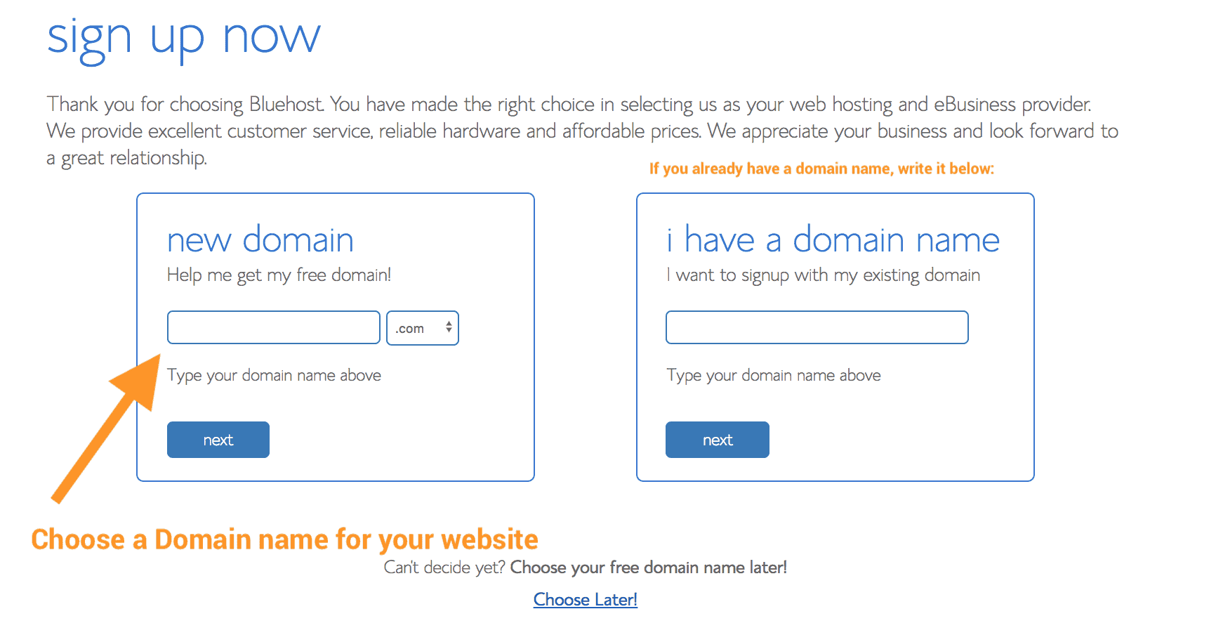 Choose a domain name