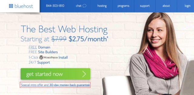 Bluehost homepage