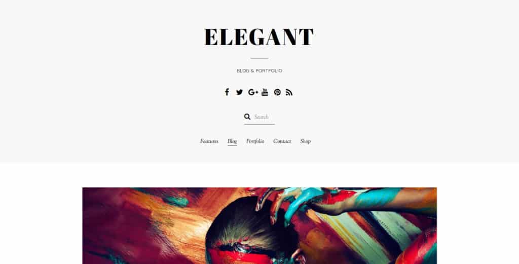 elegant wordpress theme