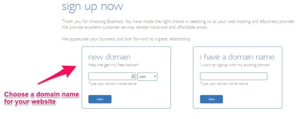 choose a domain name