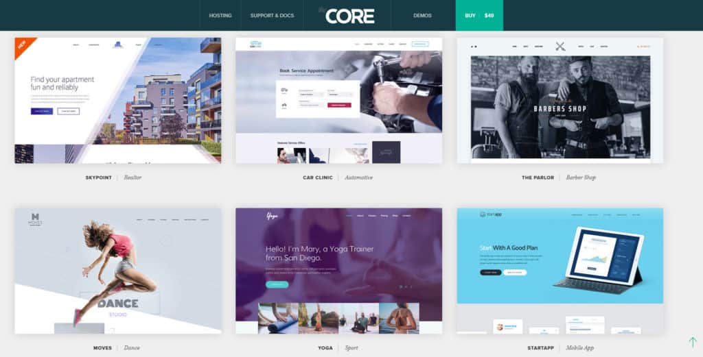 the core fully customizable wordpress theme