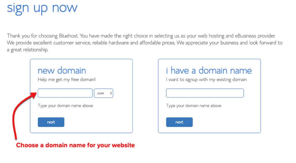 Bluehost choose a domain name