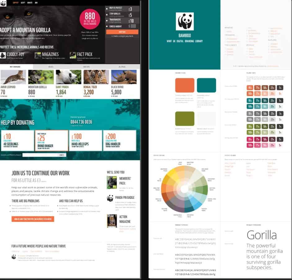 Creative Digital Designer, Andy Clarke, used highlight colours effectively in his work with WWF.