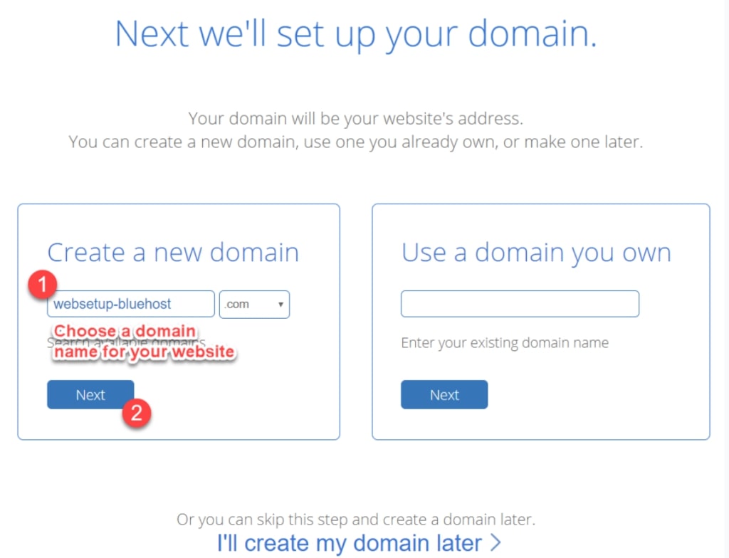 Bluehost domain