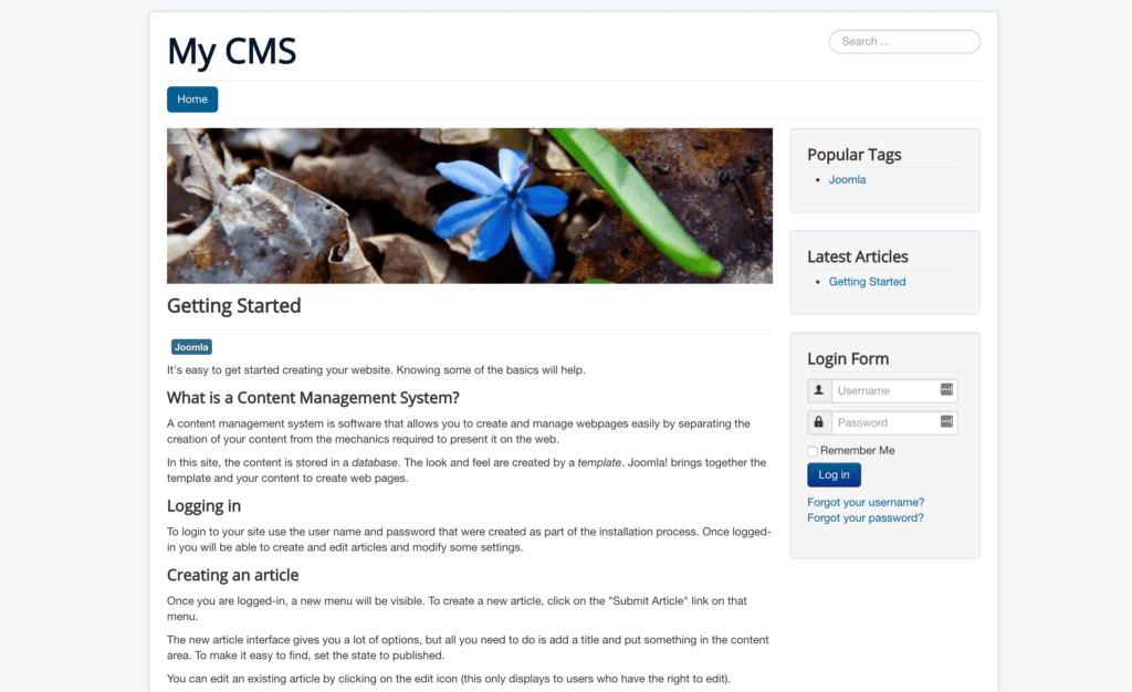 أفضل CMS: تصميم جملة