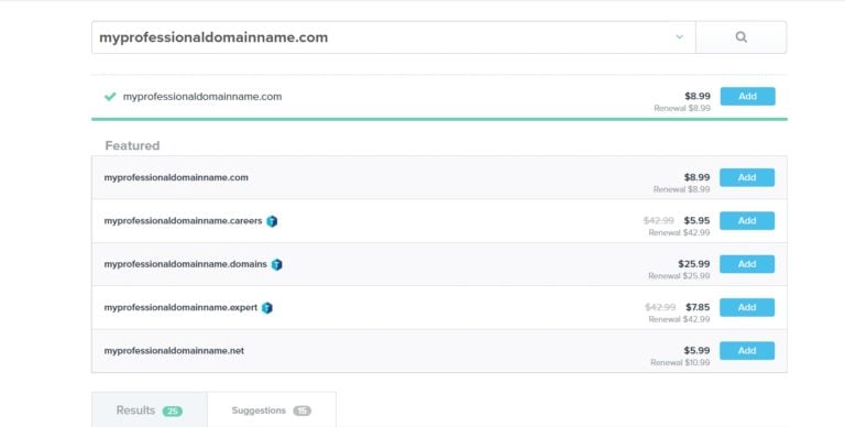 10 Best Domain Registrars For Buying Domains (2021) | Websitesetup.org