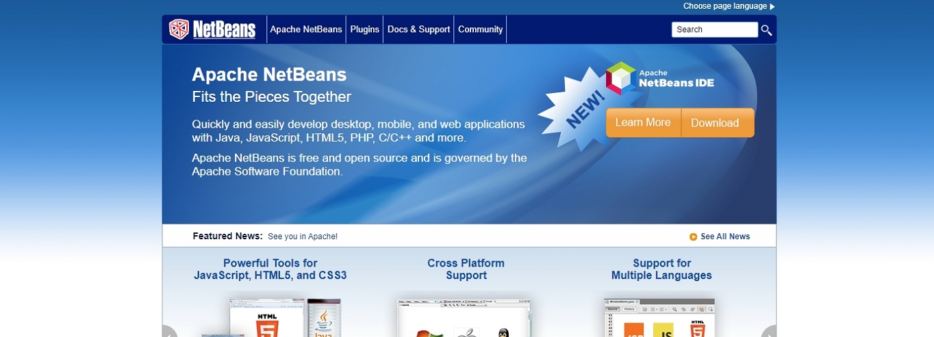 What is an IDE that's perfect for web development? NetBeans.