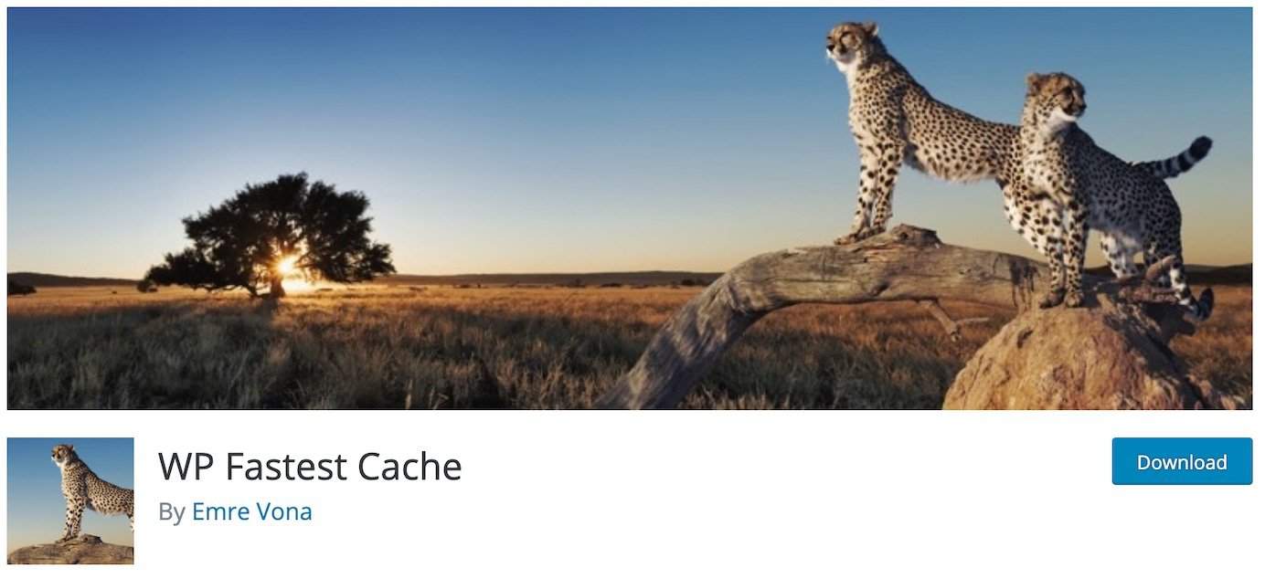 WordPress plugins for caching: WP Fastest Cache