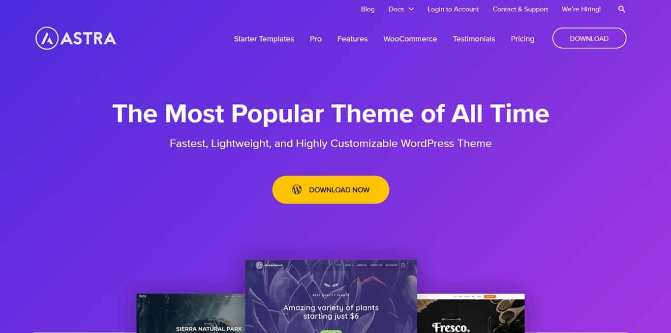 most customizable free wordpress themes 2017