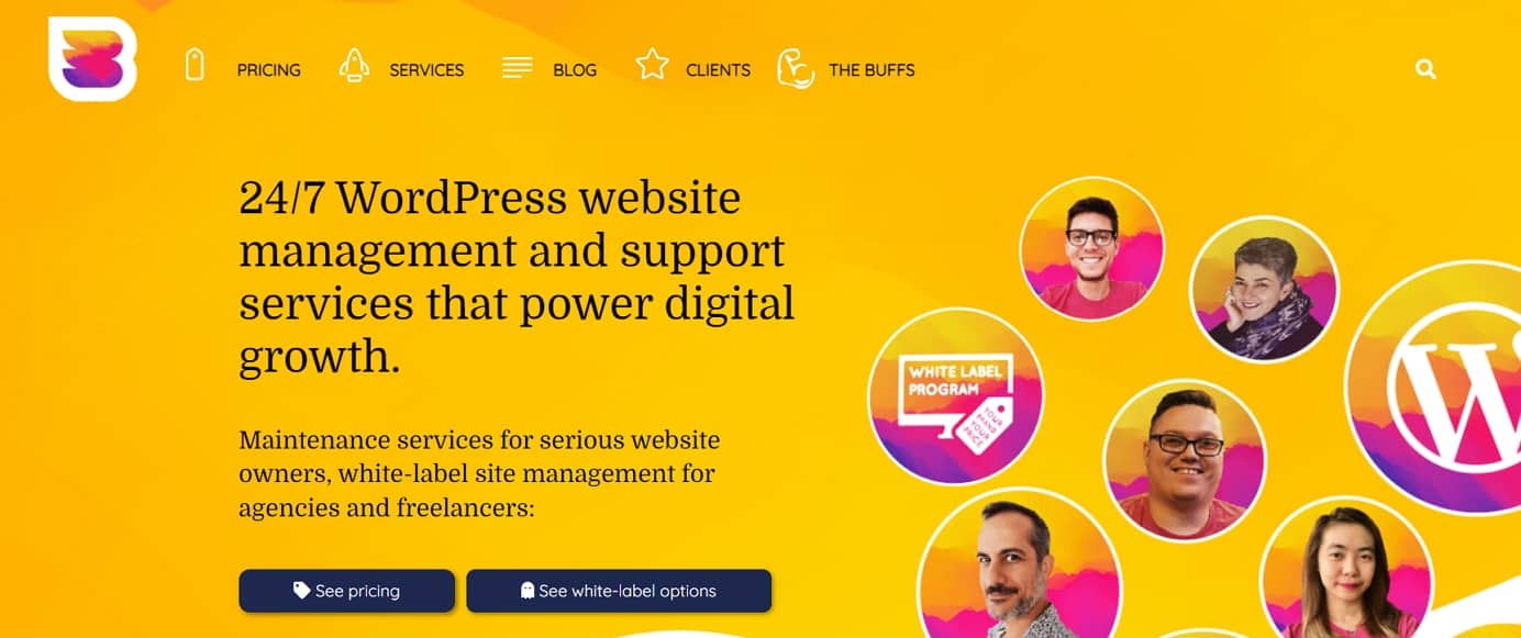 WP Buffs - Best WordPress maintenance services