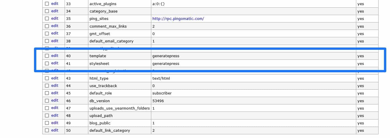 wordpress theme settings in database