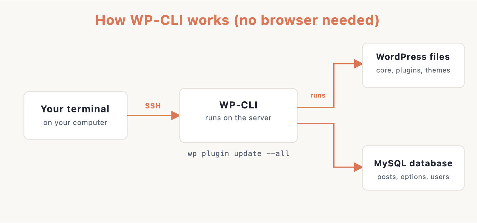 How WP-CLI works: your terminal connects over SSH to WP-CLI on the server, which manages WordPress files and the MySQL database